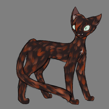 echowhisper ref